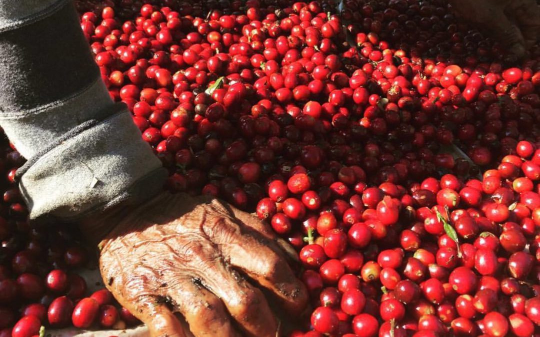 Guatemala Origin Trip Right Around The Corner