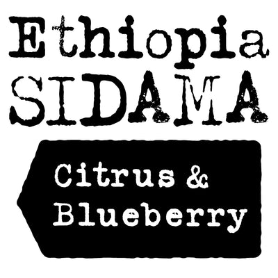 Ethiopia Sidama, Citrus & Blueberry