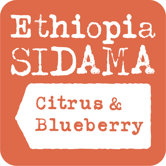 Ethiopia Sidama, Citrus & Blueberry